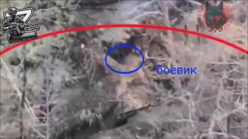 16 ������� �������� ��������� ����������� �� ������� 111 ������� ��� (��������� �������) �� ��������� �����������