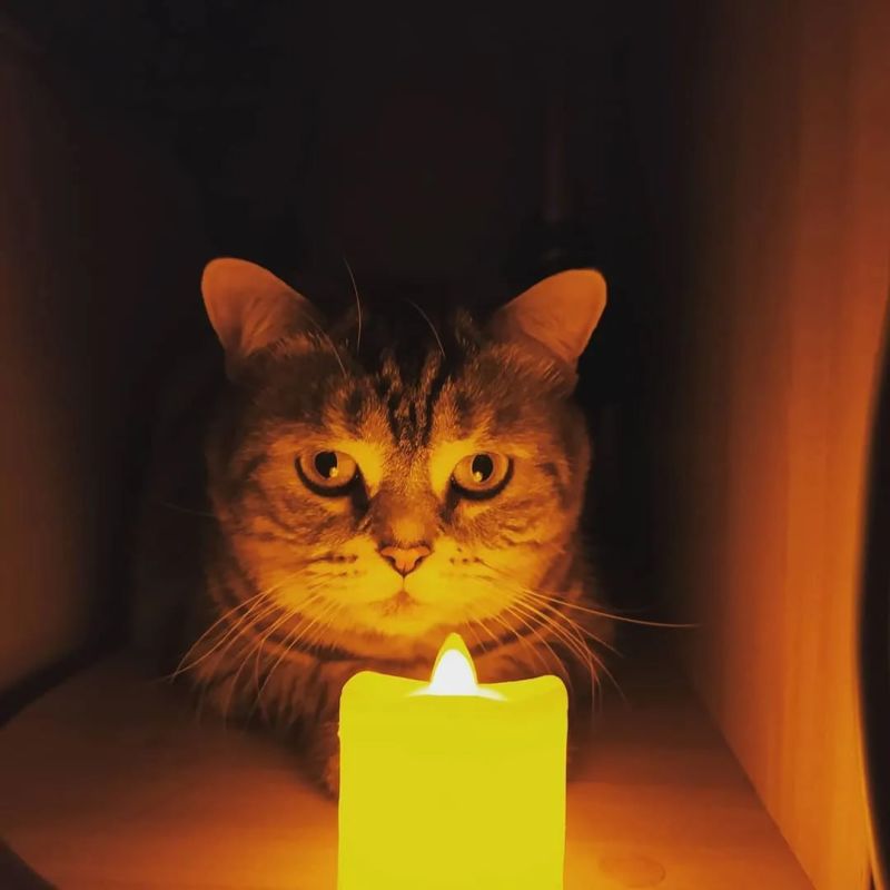 � ������ � ��� �������� ���������� �����
