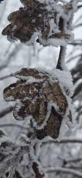 ��������� ������������ 30 ������� � ��� �� 8 �������� ������ ����� �� ���� �������� ����, ������� ��������� ����, ������, ����������, ������� �����