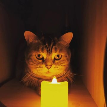 � ������ � ��� �������� ���������� �����