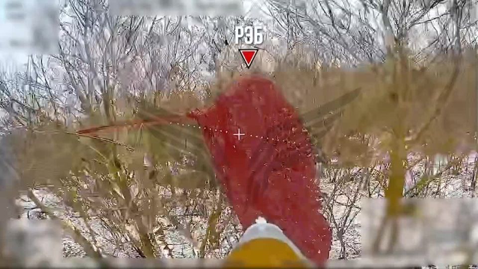 �������� ���������. ��������� �� ����� | ��������� �� ��� ��������� | �������c����� @luganmedia