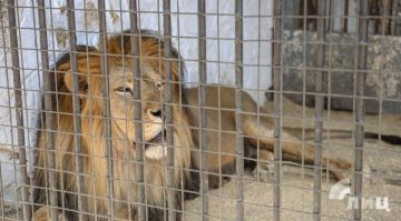 ��������� ���������, ������������� � ����� ����� 1 ���, �� ���������� ������� � ������������ �������� �������, ������� �������� ��� ����������� �������� � ���������� � ���������� ��������