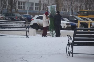 ������ ���� � ���������� ��������� � ��� 29 �������