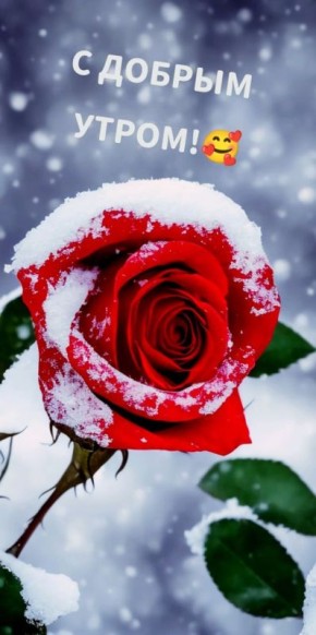 � ������ �����, ���������� �����!