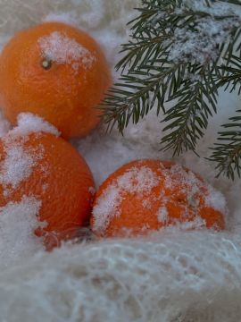 ������ ����, ���������!. �������, 30 �������