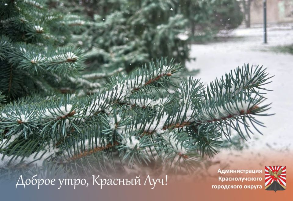 ������ ����, ������������!