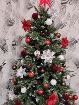 61 ������ ���������� ����