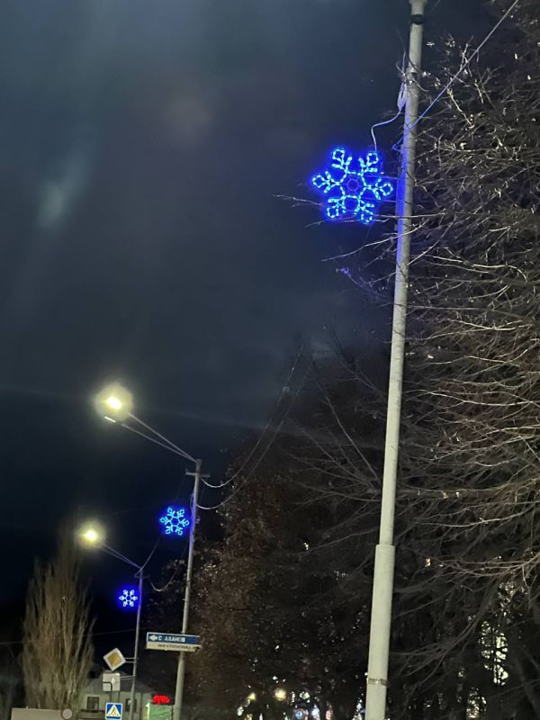 Виктория Сергеева: Снежинки добра. Дорогие кировчане! В преддверии Нового года наш город стал ещё ярче и праздничнее благодаря доброму сердцу индивидуального предпринимателя Струковой Ульяны Владимировны