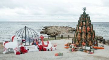 ���������� ������� �������� ������� ���� ������� 29 ������� �������� �� ���������� ���-�������� �������� � ����� � ��������� �� 8 ������