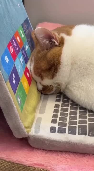 Как ощущается последний рабочий день этого года