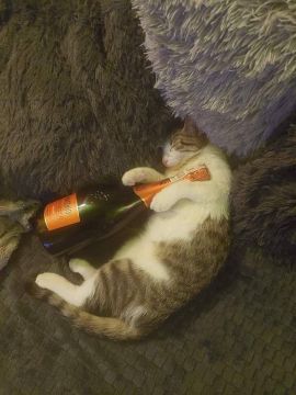 ������� ���������� ���� �����������