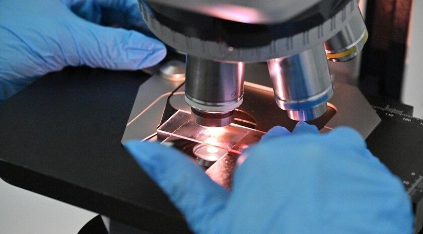 ����� ��������� �� ���������������� ����������� ������������ ��������� � ������