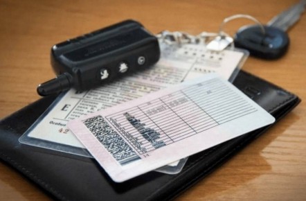 ������ ���� ������ ����������� ����������, ���, �� 31 ������� 2025 ���� ����������� ������������ ������� �������������� ��� �������� ��������������� ������� � ����������� ������������ �������