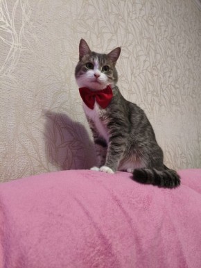 2 ������ �� ���������� ��������� �������� ���������� ����� ������� � ������������