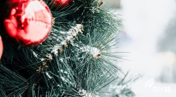 ��������� ������������ 3 ������ � ��� �� 1 ������� �����, ������ ���� � ���������� �����