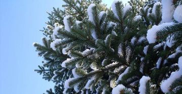 � ������ �����, ���������!