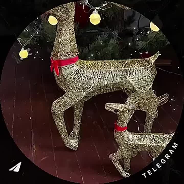 ���� ����� �� ����� �������� ����� � ������ �����, � ������ ���������� � ���� �������� ��-���������� ����� � ������