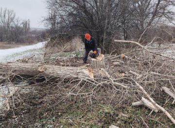 ������� �� �������� ������ ������������ ������������ ������������ ������ ���������� � ������