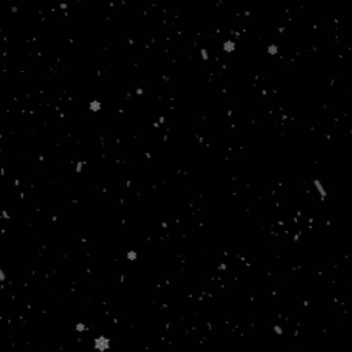 Ловим каждый момент праздничных выходных!