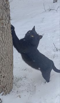 3 ������ �� ���������� ��������� �������� ���������� ����� ������� � ������������