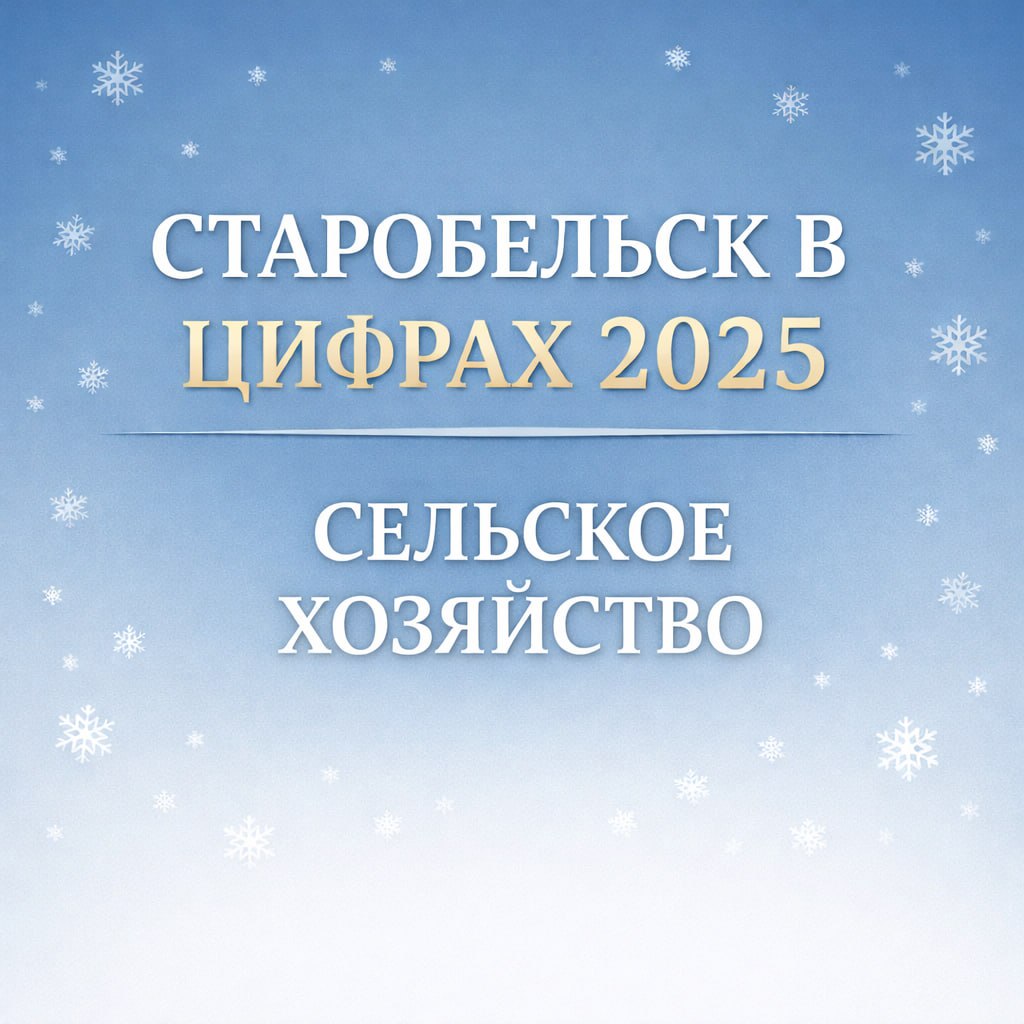 Старобельск в цифрах 2025: Сельское хозяйство