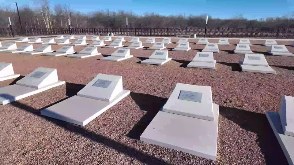 ������������ ���� ��������