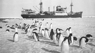 5 января. 1956, 70 лет назад