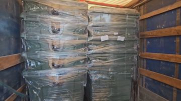 �������� �����������: ������� �������� � 2025. � ������� �������������� ���������� ������� ���, ������� ��� ��������, ����������, ���� �������� ���������� �������� �� ���� ������ �����