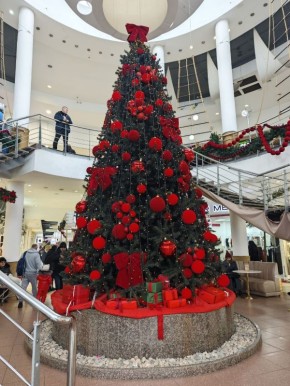 5. Как январское утро освежает воздух, так и новые начинания освежают нашу жизнь