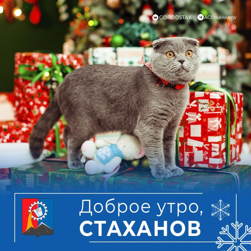 ������ ����, ������� �����!