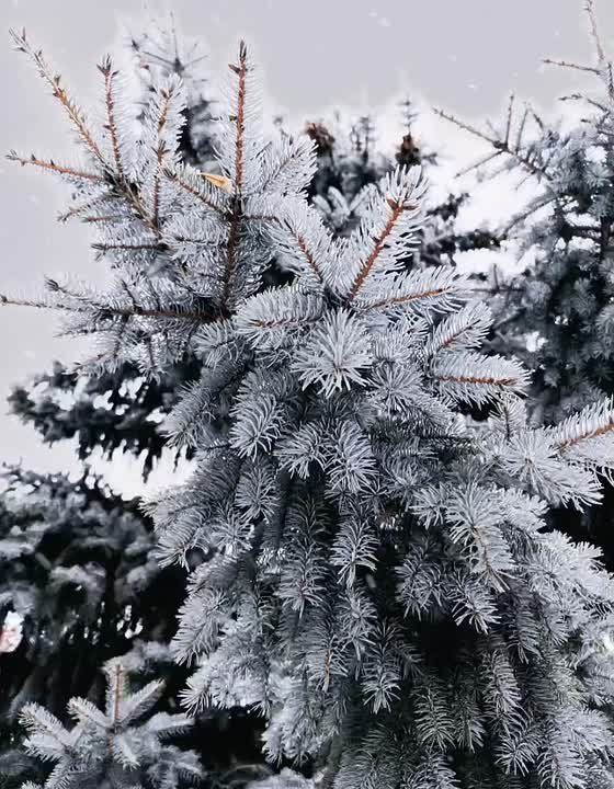 � ������ �����, �������!. ������ ���� �������� ��� � ����������� ����������! @agklnr #�������