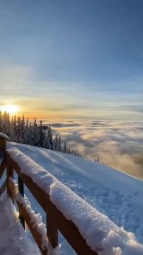 ������ � ������ ����, ������ �������������� ������!