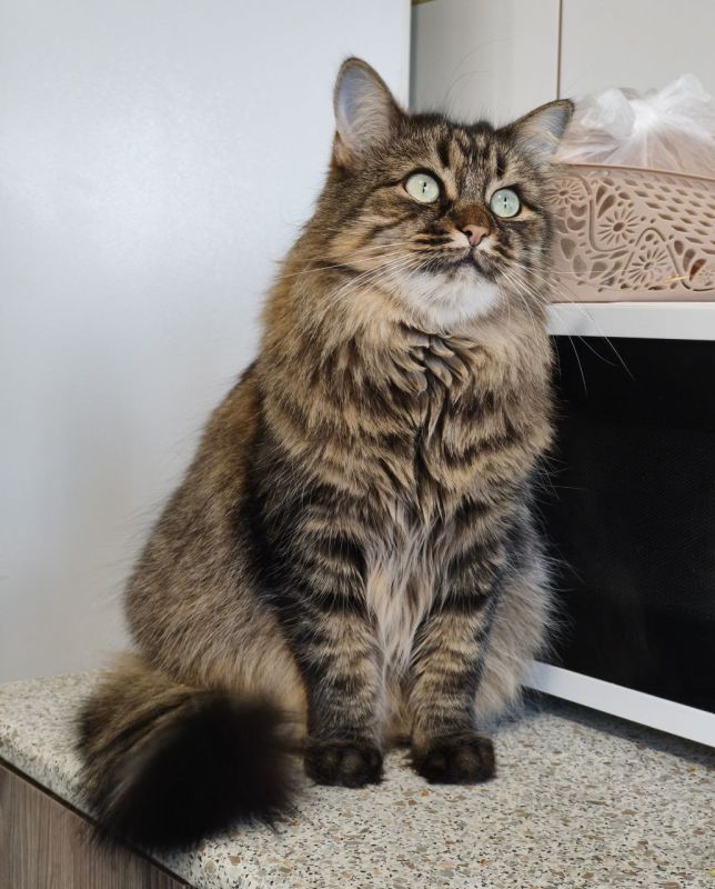 8 ������ �� ���������� ��������� �������� ���������� ����� ������� � ������������