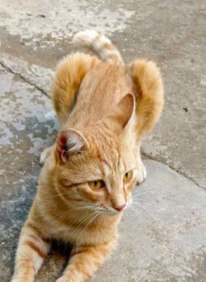 9 ������ �� ���������� ��������� �������� ���������� ����� ������� � ������������