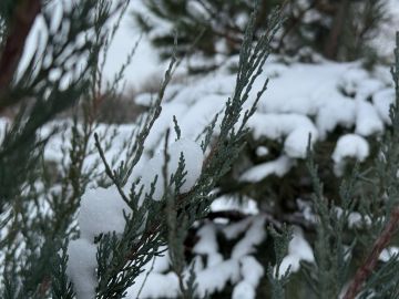 С добрым утром, жители Марковского муниципального округа !