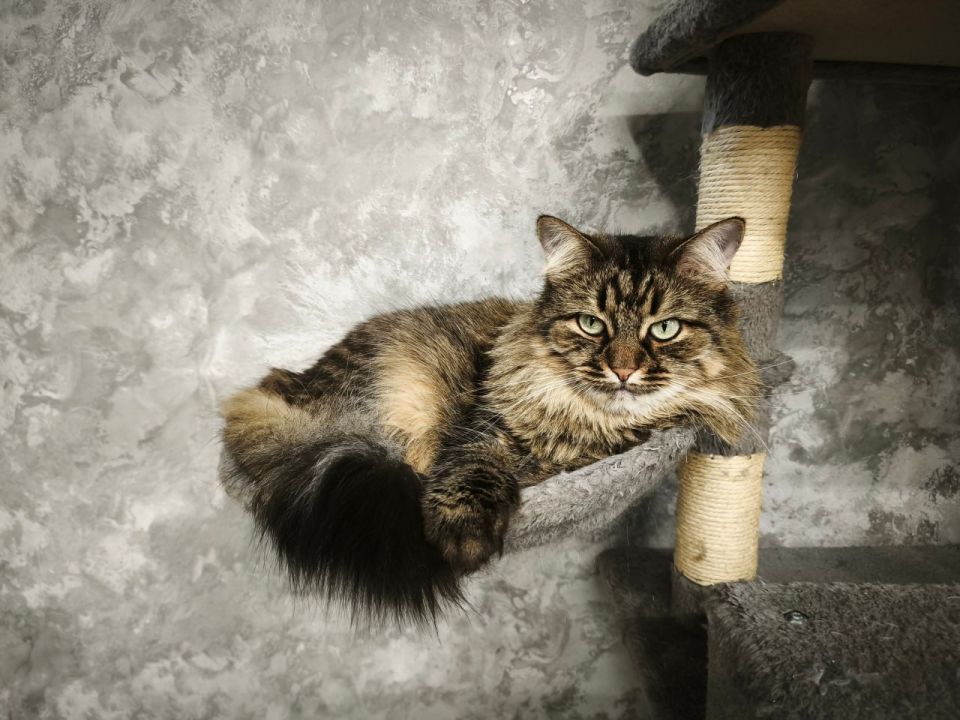 10 ������ �� ���������� ��������� �������� ���������� ����� ������� � ������������