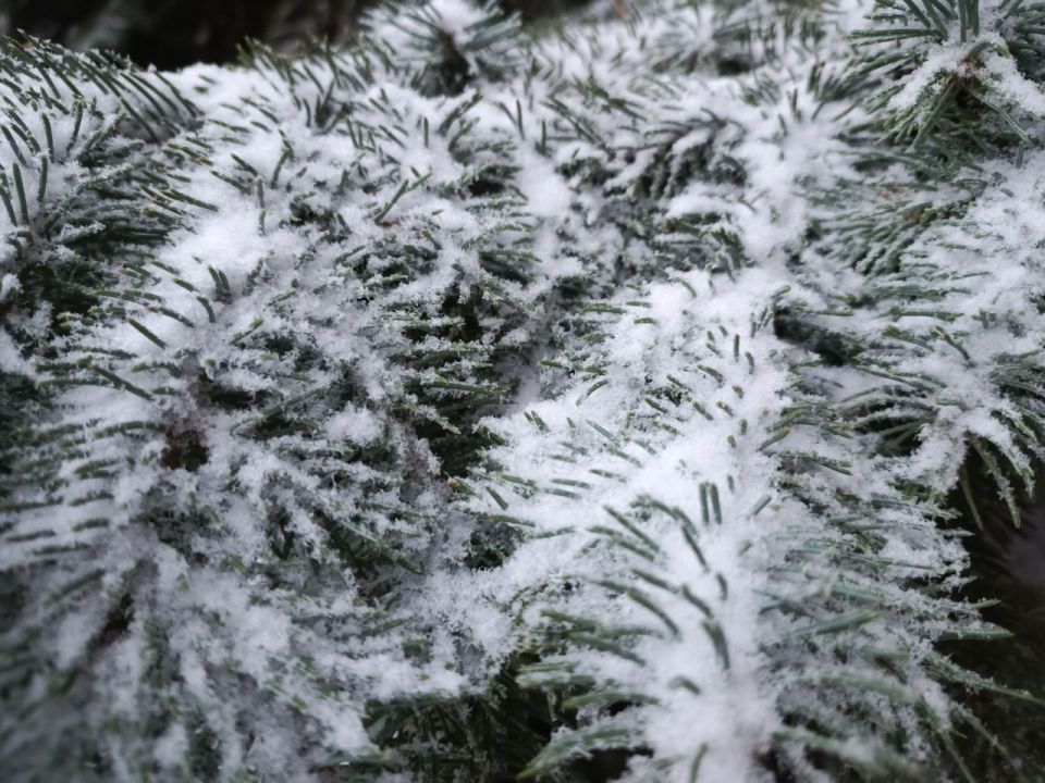С добрым утром, Кировск!. Желаем всем хорошего дня и позитивного настроения! @agklnr #Кировск