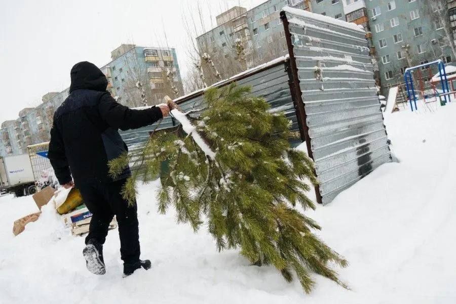 ���������� ��� ����������: ���������� ��� � ����� ������ ����������� � �������� ����, ��� ��� ��� ����� ������� ���������