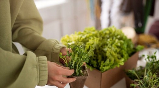 ��� ��������� � ����������. ������� �������� ������ ������� �� ����