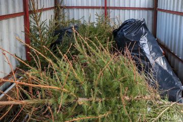 ��������� ������ ������ ������!