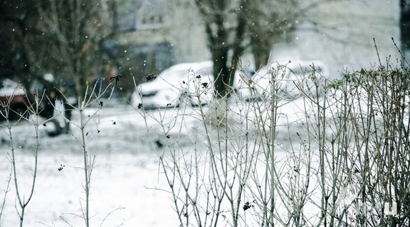 Снегопад, налипание мокрого снега на проводах и деревьях, туман, порывы ветра до 20 м/с, гололедица, снежный накат ожидаются в ЛНР 11 января