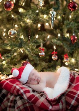 ������ ����� 2026 ���� ������� � ����������!