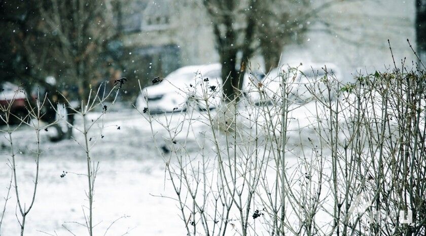 Снегопад, туман, сильный ветер и гололедица ожидаются в ЛНР 11 января