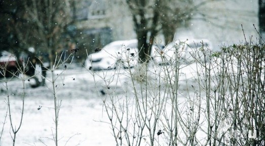 ��������, �����, ������� ����� � ���������� ��������� � ��� 11 ������