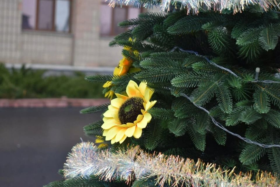 ������ ����! ������� 11.01.2026