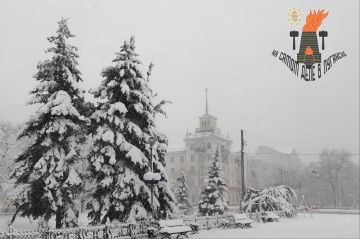 11. Доброе утро, Луганск! В январском утре мир замирает в хрустальной тишине: снег искрится под первыми лучами, а морозный воздух шепчет обещания новых начал