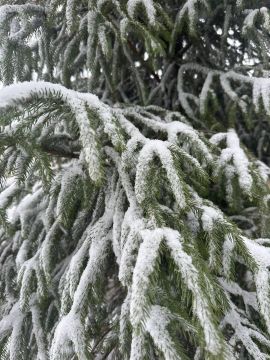 � ������ �����, ������ ����������� �������������� ������ !