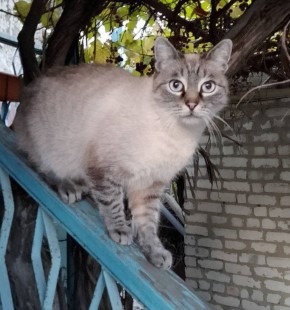 12 января на территории Луганской Народной Республики будет облачно с прояснениями