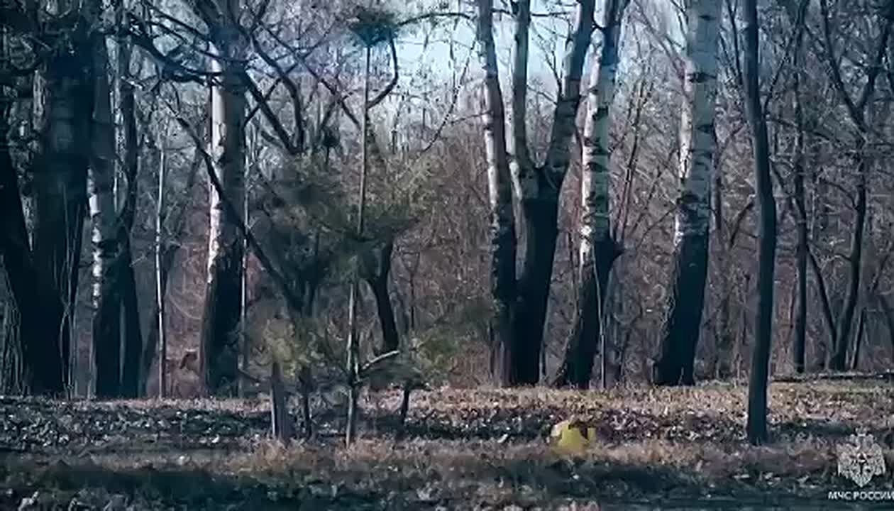 Что делать, если нашли на улице подозрительный предмет?