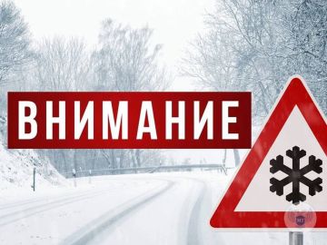 �������� ���������. ������� ������� �� �������������� ������� ���� �������� ������-�������� ���� ������